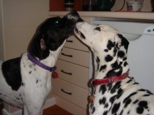 Despite our differences, we get along