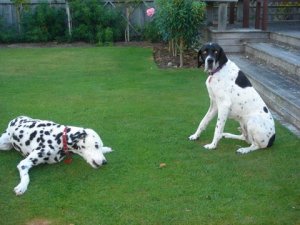 Take a look at us, clearly we are different!