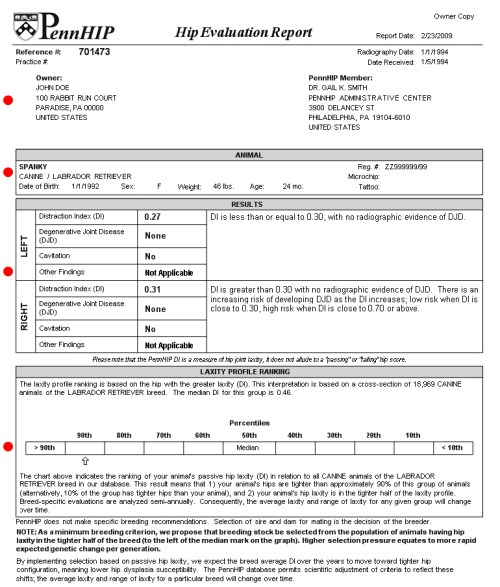PennHIP evaluation report