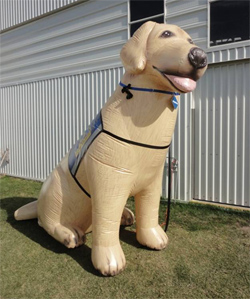 Independence, a dog balloon proudly wearing a Canine Companions assistance dog vest, will appear in the parade on January 21st.
