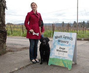Dogs are welcome at the Mutt Lynch Winery