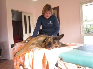 Kathleen at work with Zara (another client). copyright June Blackwood