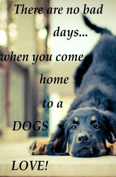 There are no bad days