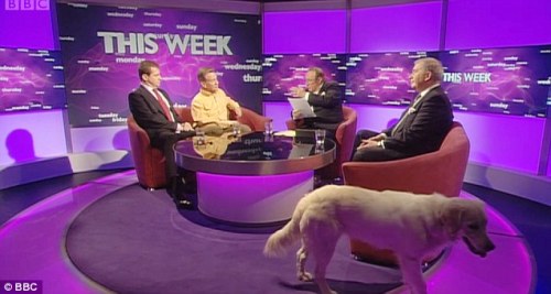 Miss Molly roams around the set as guests are interviewed (photo courtesy of the BBC)