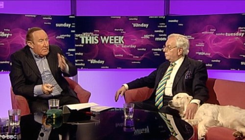 Miss Molly naps in David Starkey's lap (photo courtesy of the BBC)