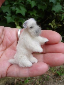 Sealyham Terrier miniature