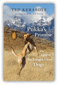 Pukka's Promise cover