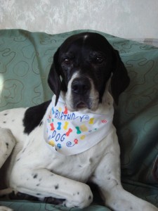 Daisy birthday portrait