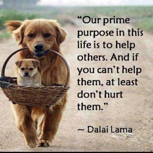 Dalai Lama quote