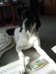 Please, Mum. Can I have these for breakfast?