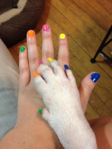 Dog nail polish photo