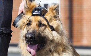 FIDO Cam 2