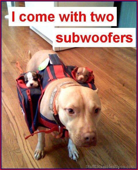 I come with 2 subwoofers