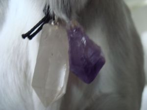 Daisy is wearing an amethyst for clearing negative energy and as an all-around healer.  Her clear quartz is a master healer for all conditions and is meant to strengthen her immune system and offer protection.