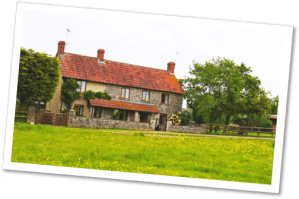 Hawkesbury Common, near Badminton in Wiltshire has restricted vehicle access, making it the perfect country retreat for your dog