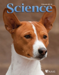 Science magazine November issue