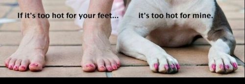 If it's too hot for your feet...