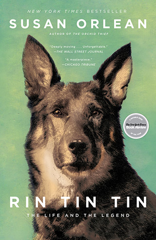 rin tin tin book cover