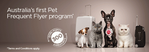 Photo courtesy of Virgin Australi