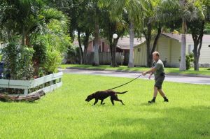 Photo courtesy of Tampa Bay Times