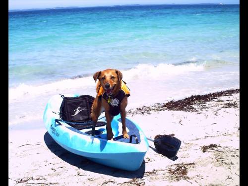 Photo by Sonya Bowditch