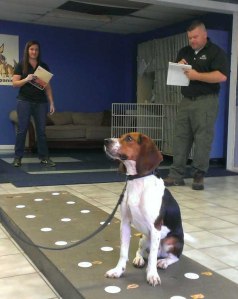 Photo by Cincinnati Zoo