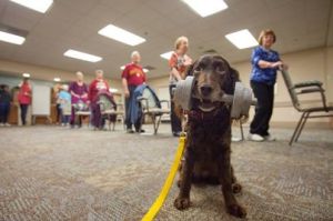 Photo courtesy of Florida State University