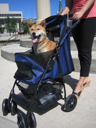 The Happy Trails Pet Stroller