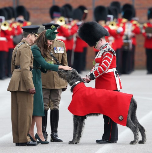 (Photo by Chris Jackson/Getty Images)
