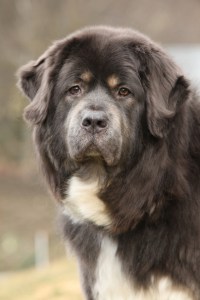 Credit: © zuzule / Fotolia