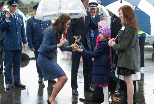 A soft toy police dog was a gift to Kate, presumably for Prince George (photo by Getty)