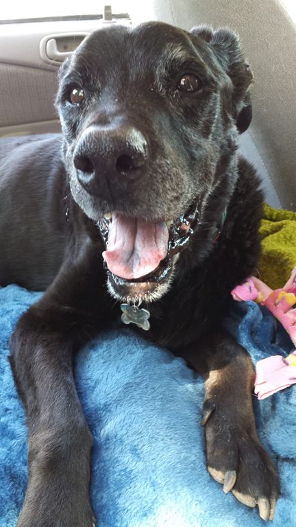 Photo by Justyne Moore