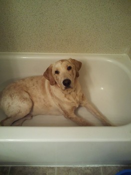 Wordless Wednesday, part 35