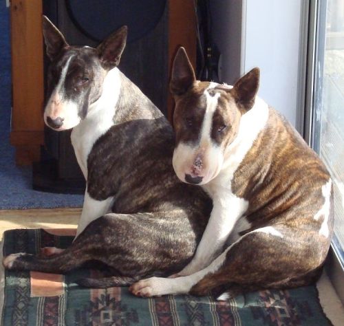 "Who loves who the most" Photo by Robert Balloch