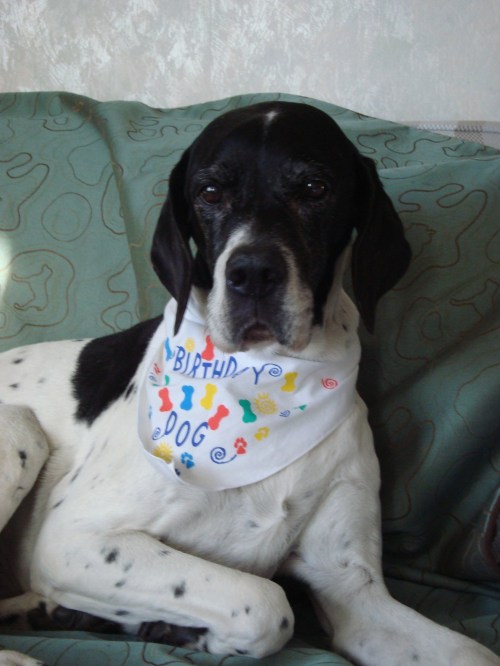 Daisy birthday portrait