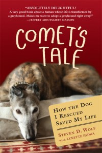 Comet's Tale