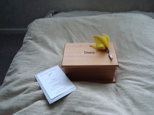 Daisy's Urn and Bed