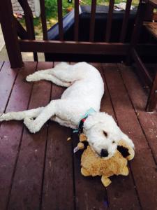 Photo courtesy of Karen Eckstein Han