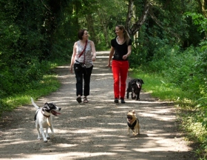Study authors Dr Carri Westgarth and Dr Hayley Christian take an off-lead walk (photo courtesy of University of Liverpool)