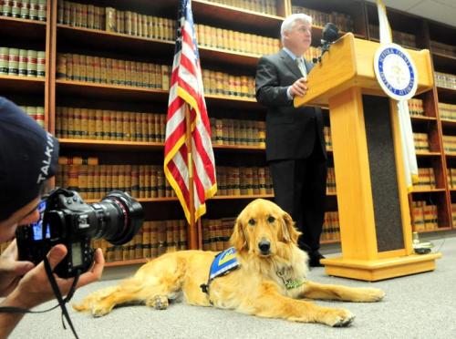 Photo courtesy of Boston.com