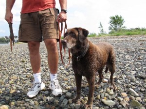Moxie with her owner Mark Aliberti in Coughlin Park, Winthrop, Massachusetts (photo by Kathleen McNerney/WBUR)