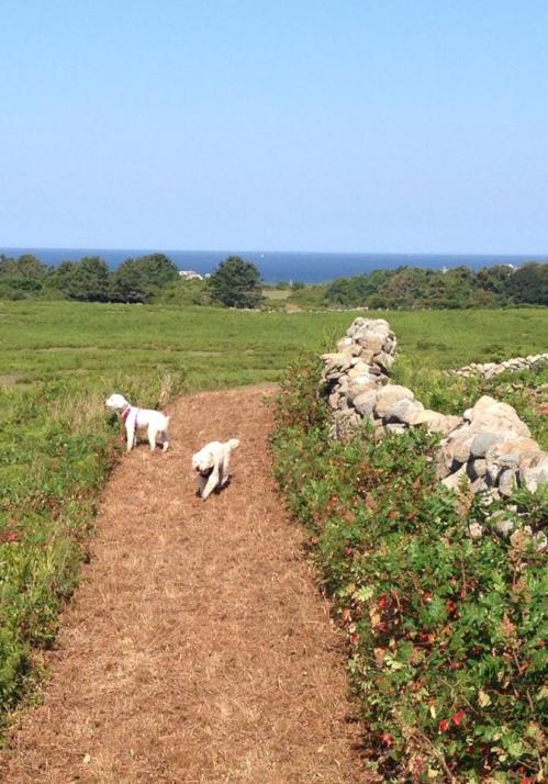 Photo courtesy of Karen Eckstein Han