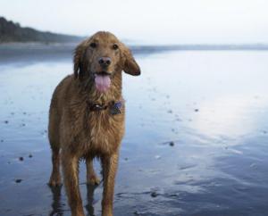 Credit: Ryan McVay/Photodisc/Thinkstock