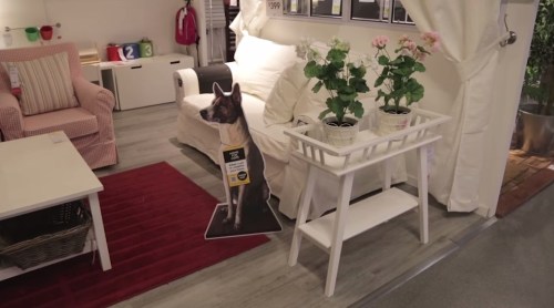 A Home for Hope display in Singapore