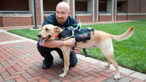 Dr David Roberts with one of his associates  Photo courtesy of North Carolina State University