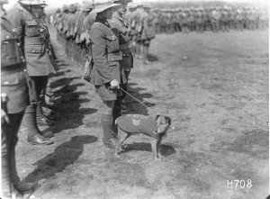 Photo courtesy of National Army Museum