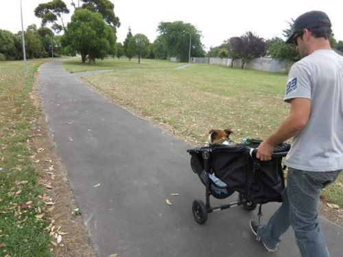 It's a long way back to the car...thanks Dad!  (Photo courtesy of Elesha Ennis)