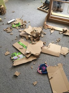 Izzy final results with cardboard box