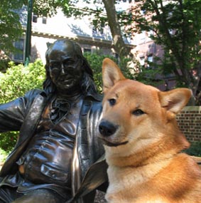 Penn University medicine