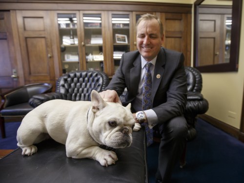  Rep. Jeff Denham, R-Calif., gives some attention to Lily, his 15-pound French bulldog, Feb. 15 in his office on Capitol Hill in Washington. Lily once was rejected by Amtrak, but the House passed a measure Wednesday that would let her ride with her owner.  Photo by J. Scott Applewhite/AP 